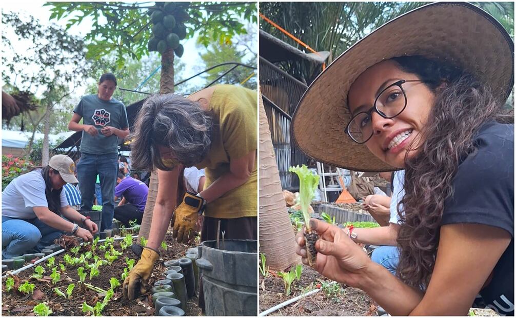 Sociedad civil y colectivos se unieron en la plantación