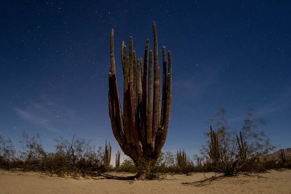 5-paraisos-desconocidos-de-baja-california