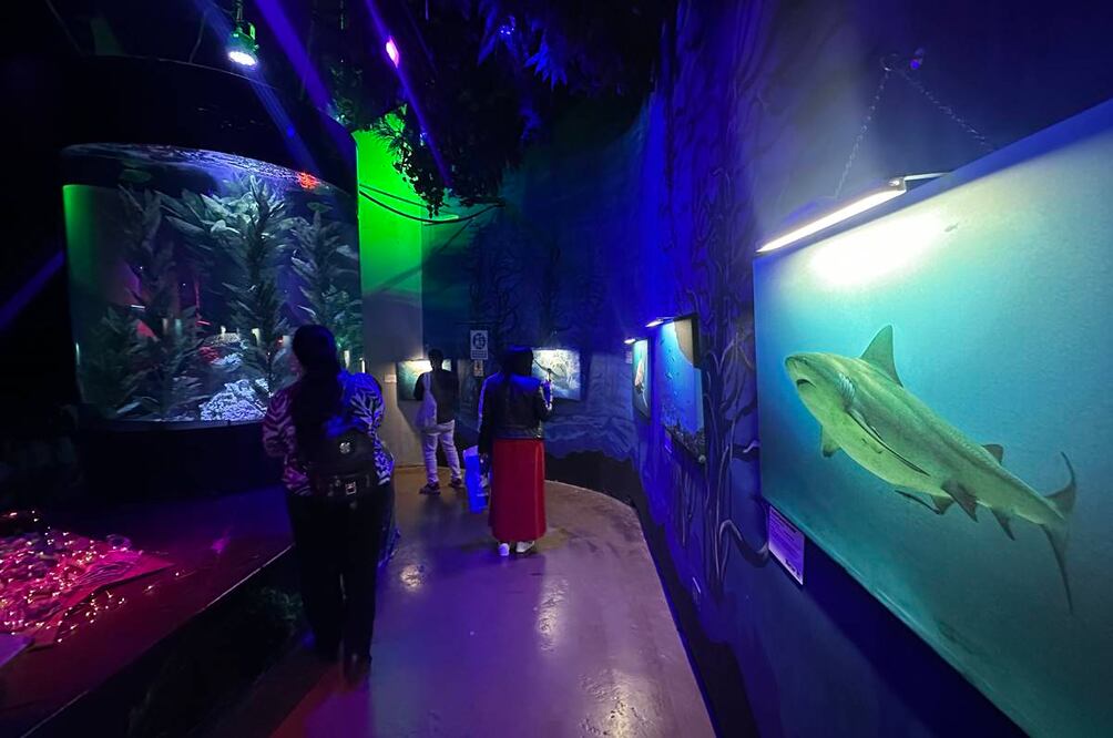 Foto: Omar Moreno. El Universal