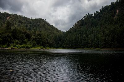 Destinos naturales a menos de 5 horas de CDMX