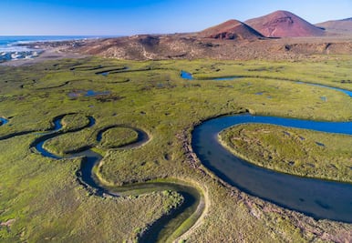 Así es el increíble Festival de las Aves en Bahía de San Quintín