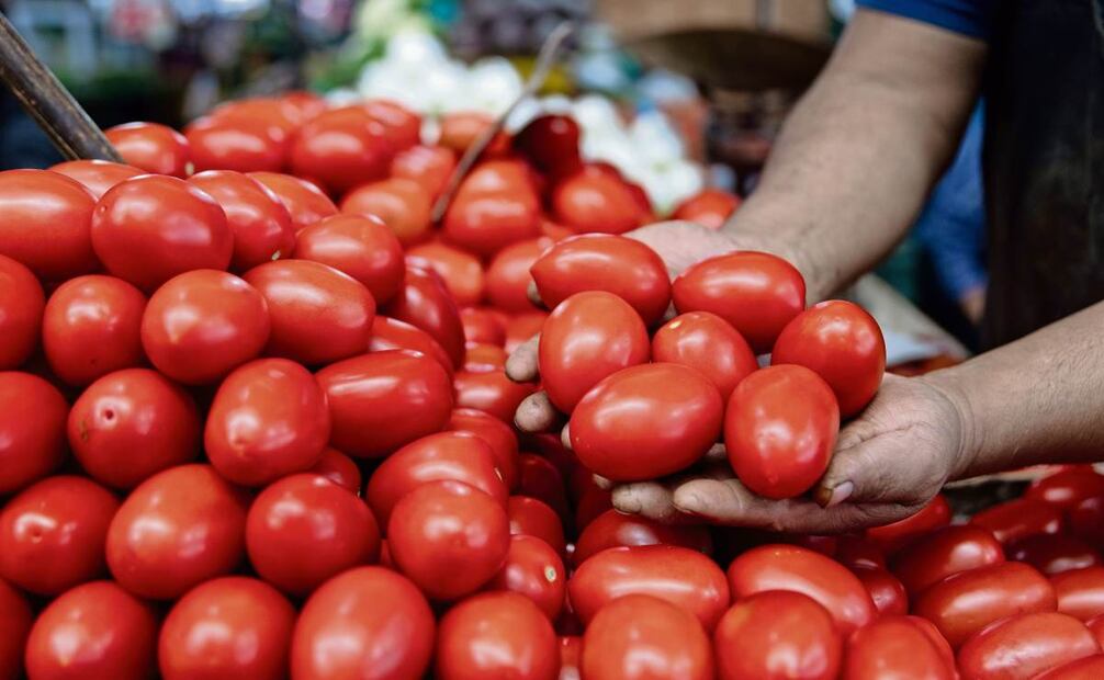 Los jitomateros mayoristas deben “cazar” clientes para mover el producto que, en algunos casos, es donado para evitar el desperdicio. Foto: Hugo Salvador / EL UNIVERSAL