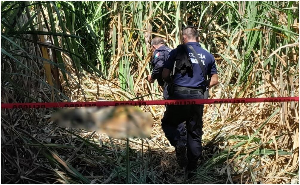 Hasta el momento se desconoce la identidad de los 3 hombres y una mujer (24/01/2025). Foto: Especial