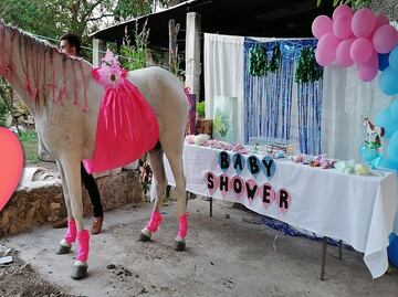 Baby shower a una yegua en Yucatán se hace viral