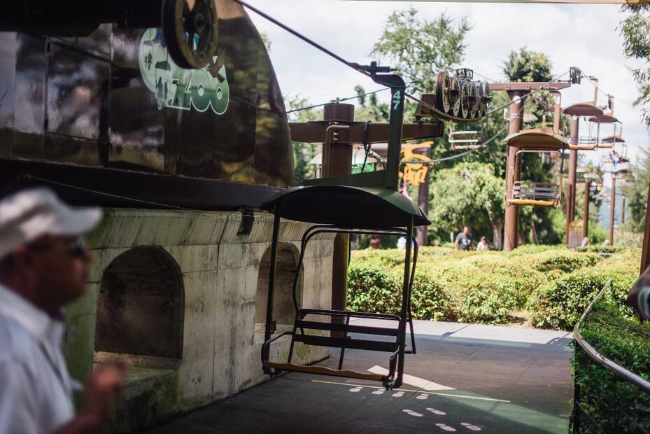 Foto: Zoológico de Guadalajara