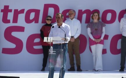 ¿Cuántos fueron en realidad a la manifestación ciudadana?