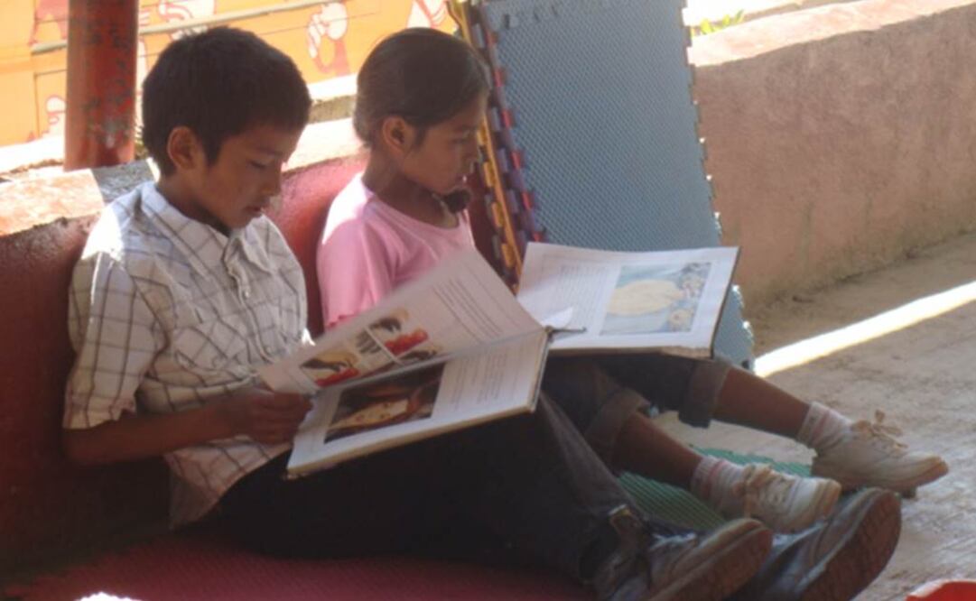 El Observatorio cuenta con diversos insumos, como el Banco de Buenas Prácticas de Fomento a la Lectura, en el que cualquier persona puede ingresar y hallar bibliotecas o librerías cercanas a su colonia, delegación o municipio. FOTO: Archivo/EL UNIVERSAL.