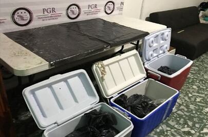 Aseguran más de 2 mil huevos de tortuga en Chiapas