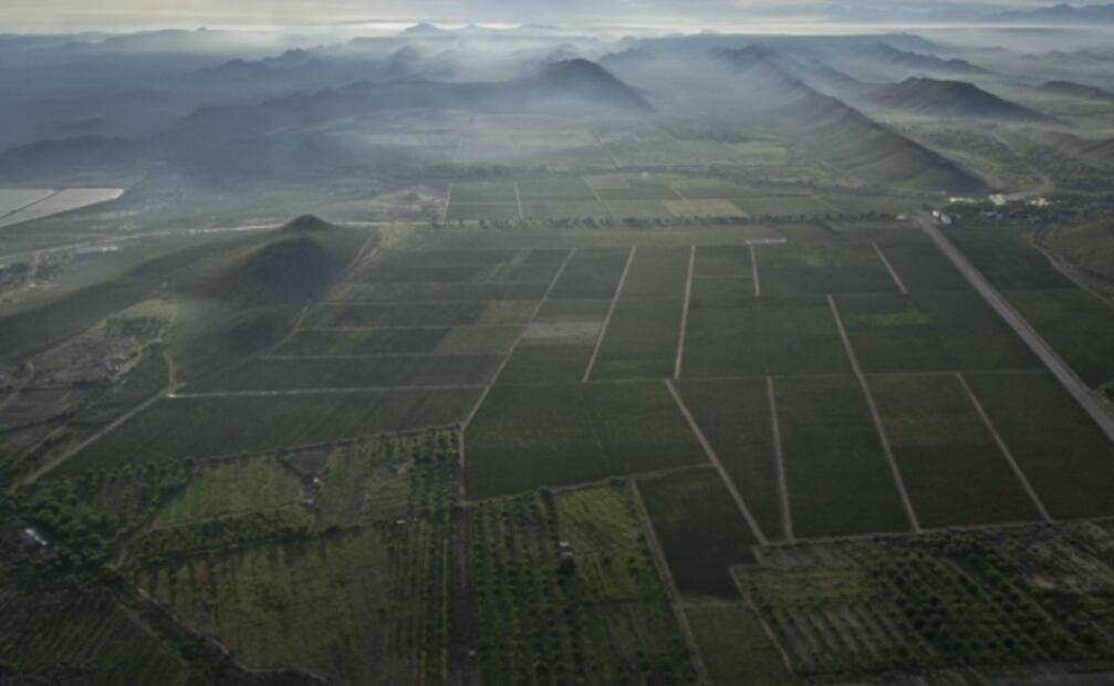 Qué hacer en el Pueblo Mágico de Parras