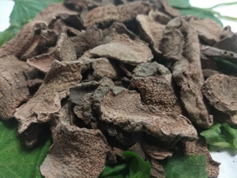 Aborto: orígenes prehispánicos