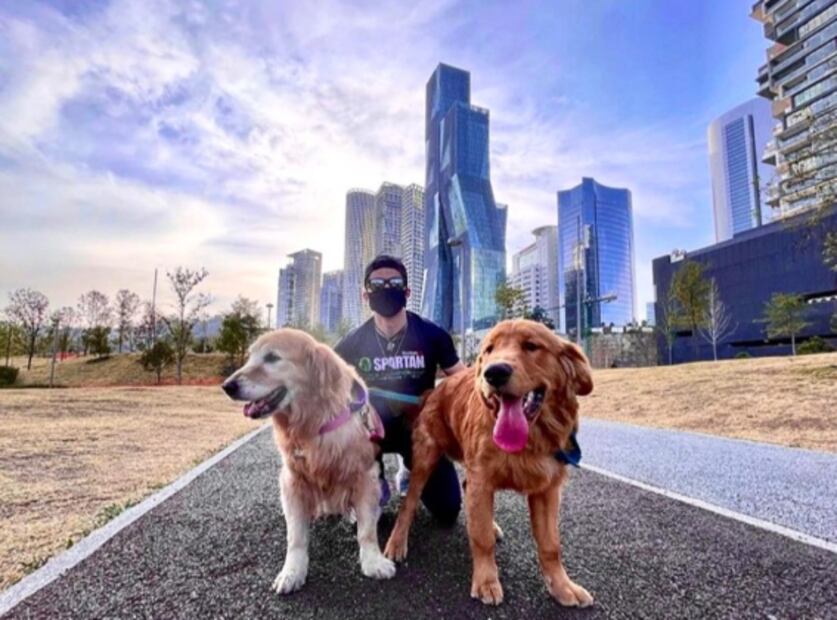 5 lugares para pasar un día entero con tu perro en CDMX