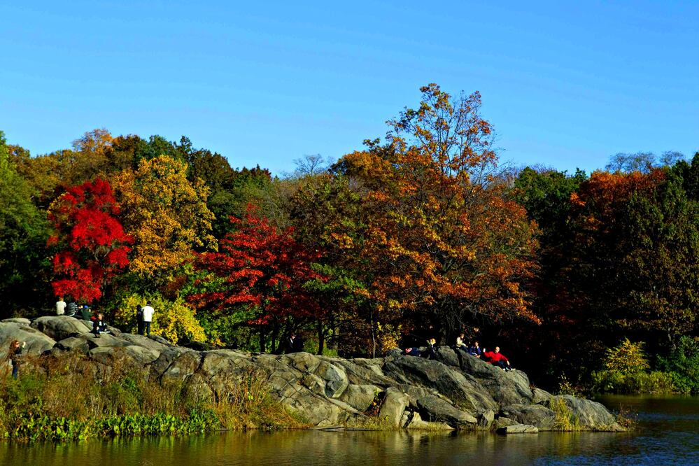 Central Park, en Nueva York. (Foto: Archivo El Universal)