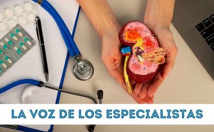 Día Mundial del Riñón; datos curiosos y claves para cuidarlos 