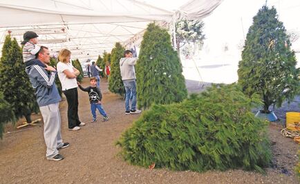 Piden extremar medidas para evitar incendios en temporada navideña