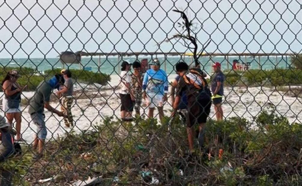 Pobladores realizan tala ilegal de manglar en Sisal, Yucatán (07/05/2025). Foto: Especial