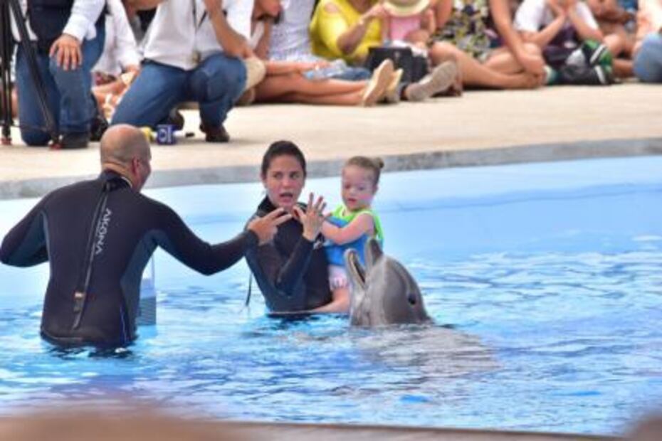 Reiniciarán terapias con delfines para niños con discapacidad en Sonora