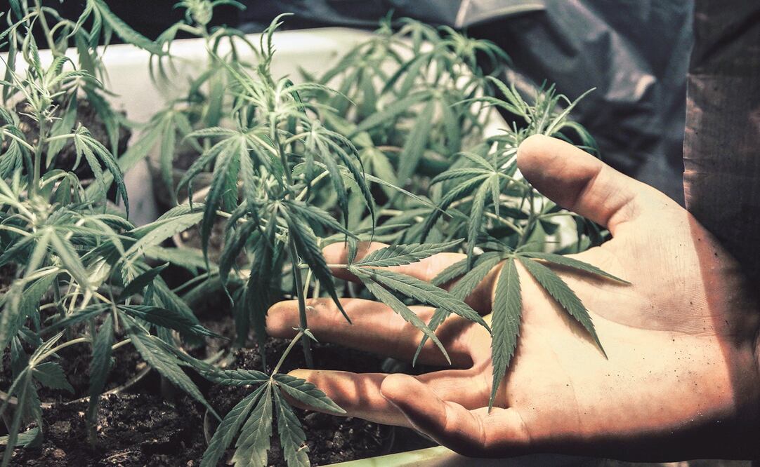 Foto: Archivo/EL UNIVERSAL