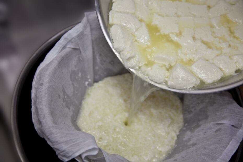 Todo lo que debes saber sobre el queso