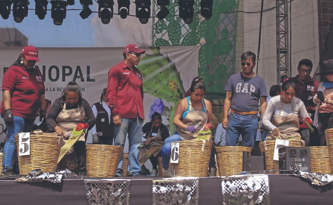 En el marco de la feria, realizaron el Concurso de Desespinado de Nopal. Foto: de Fernanda Zamora.El Universal