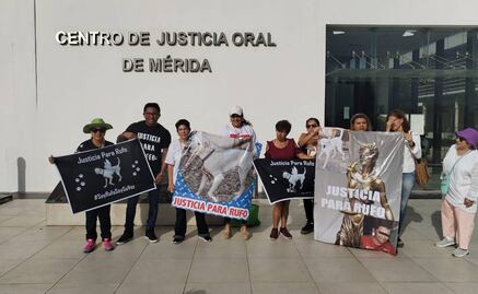 Agresor del perrito "Rufo" en Yucatán continuará su proceso en prisión