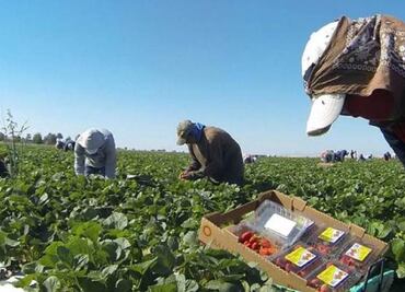 San Quintín laborers demand that agreements are fulfilled