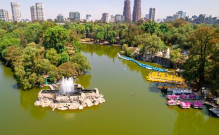 5 actividades que puedes hacer gratis en Chapultepec