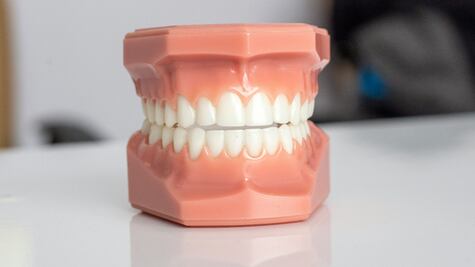 La planta herbácea, originaria de México, con efecto desinflamante para dolores de muela