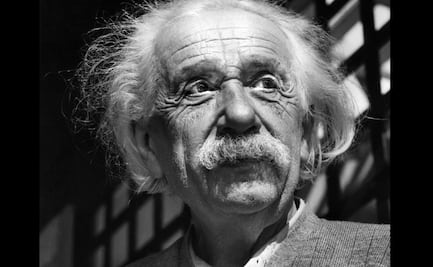 En carta inédita, Einsten anticipó conexión física de la orientación en aves y abejas