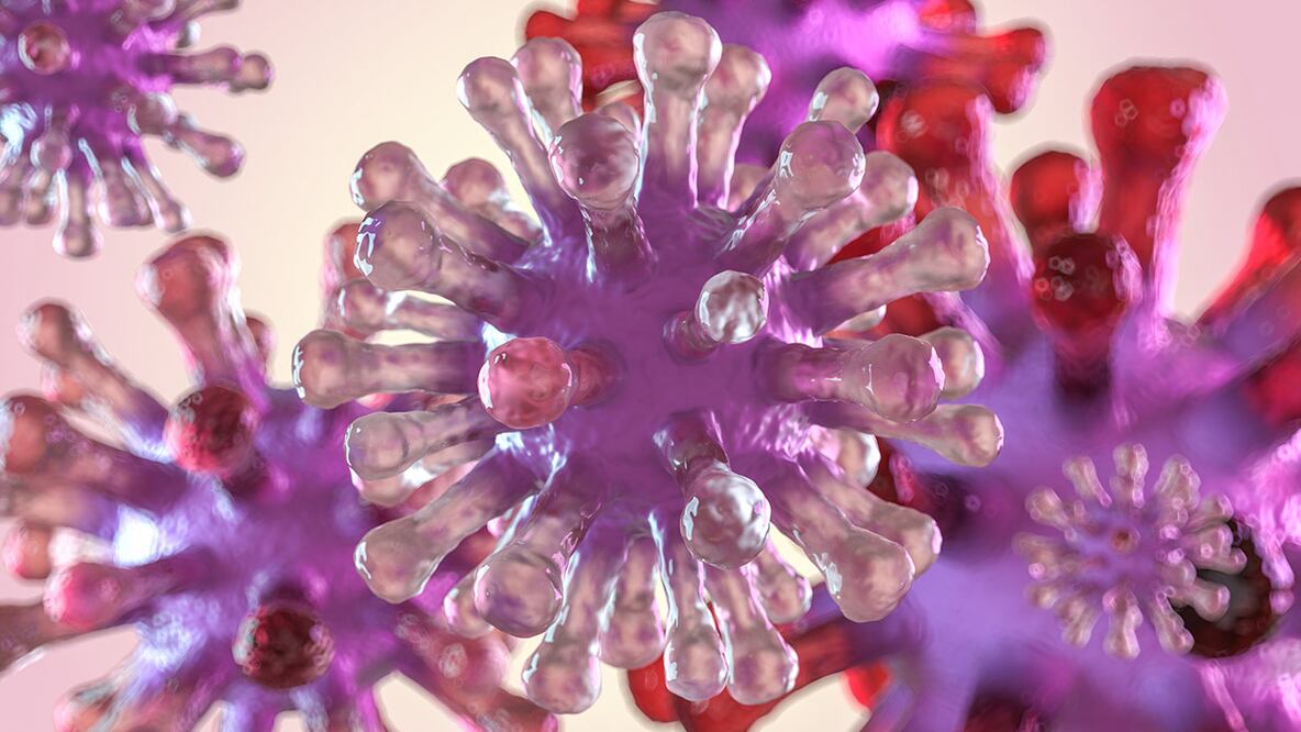 Por qué es tan difícil obtener una vacuna contra el VIH