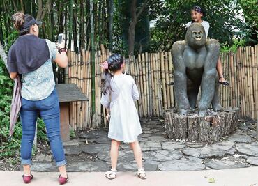 Se cumplen dos años de la muerte del gorila Bantú