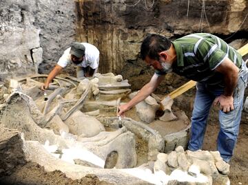 Mexico’s new international airport to be built over mammoth remains