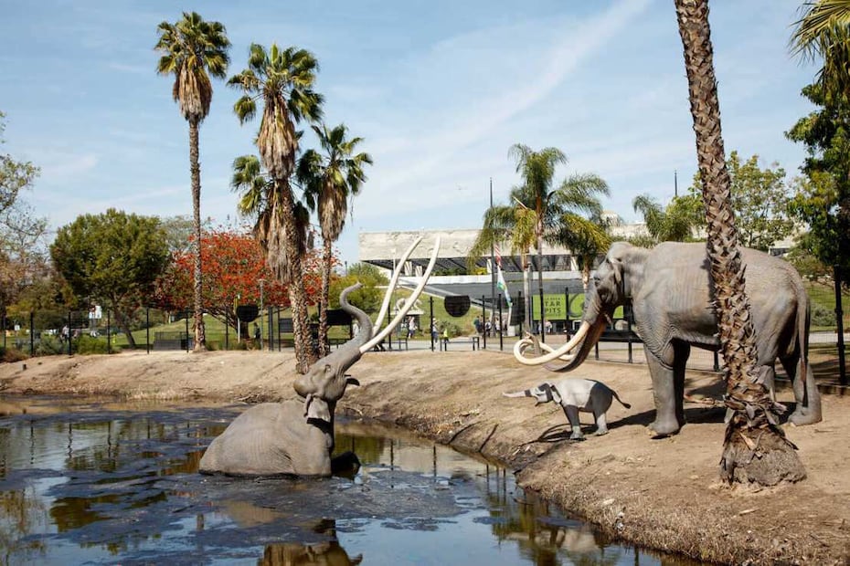 Vista de las esculturas de mamuts que se exhiben en Lake Pit, área icónica de La Brea. Cortesía Natural History Museums of L.A. County