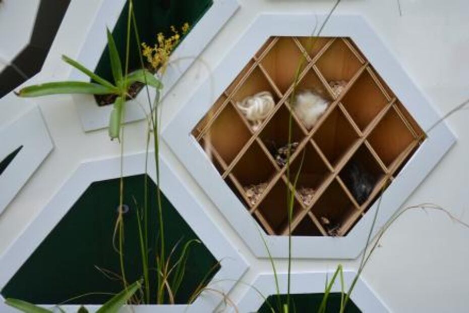 Casas con piel verde