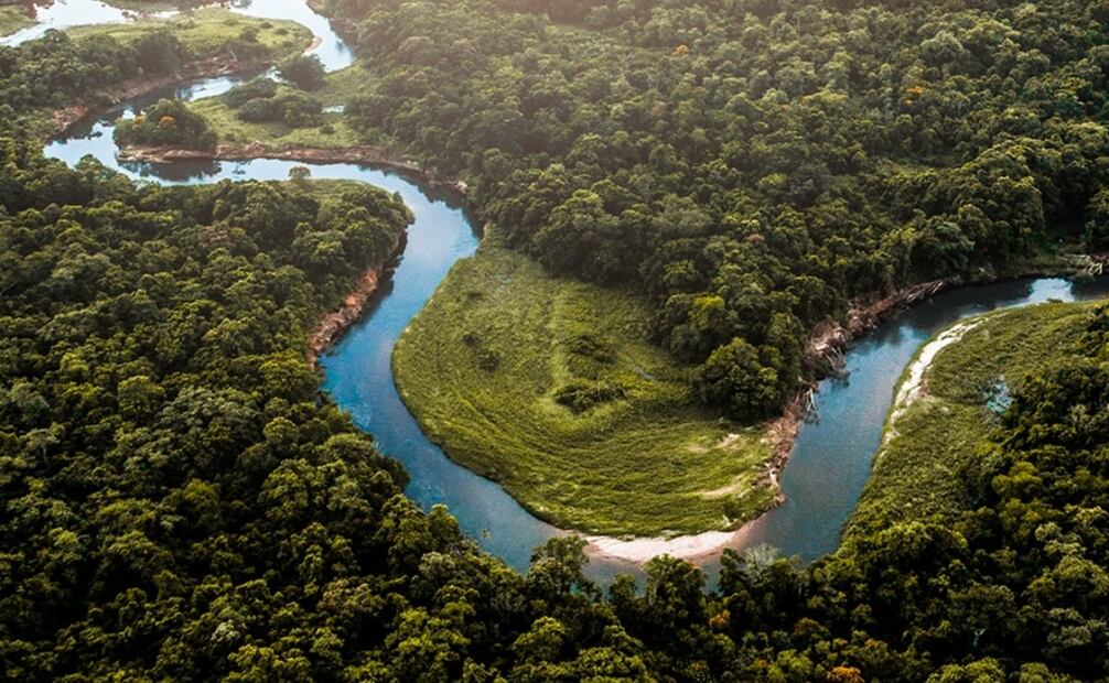 Foto: Cortesía Jungle Experiences Amazon River Cruises
