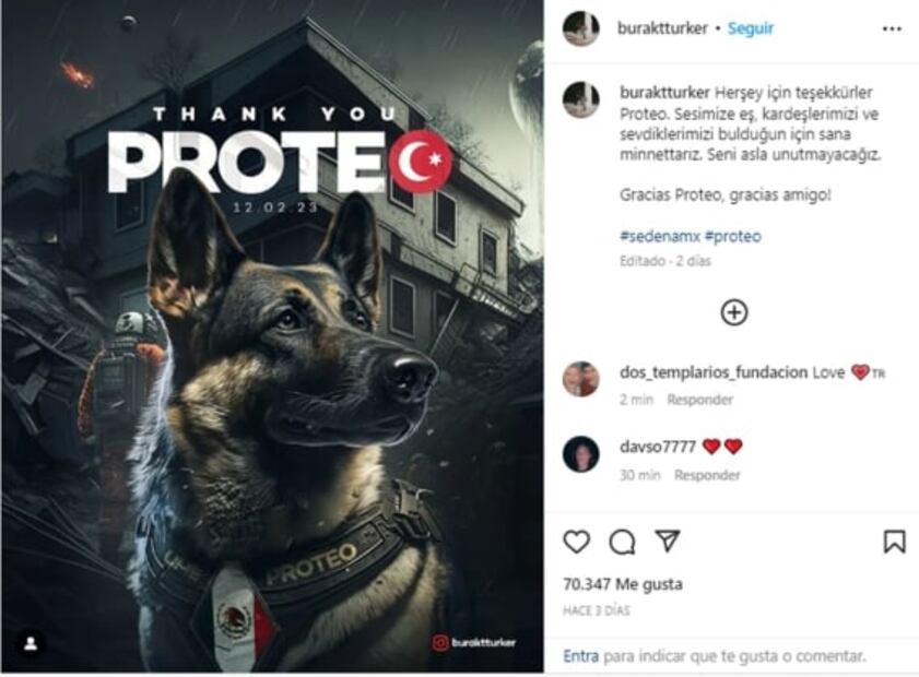 "Estamos orgullosos de ti"; así rinde homenaje Sedena a "Proteo", perrito rescatista fallecido en Turquía