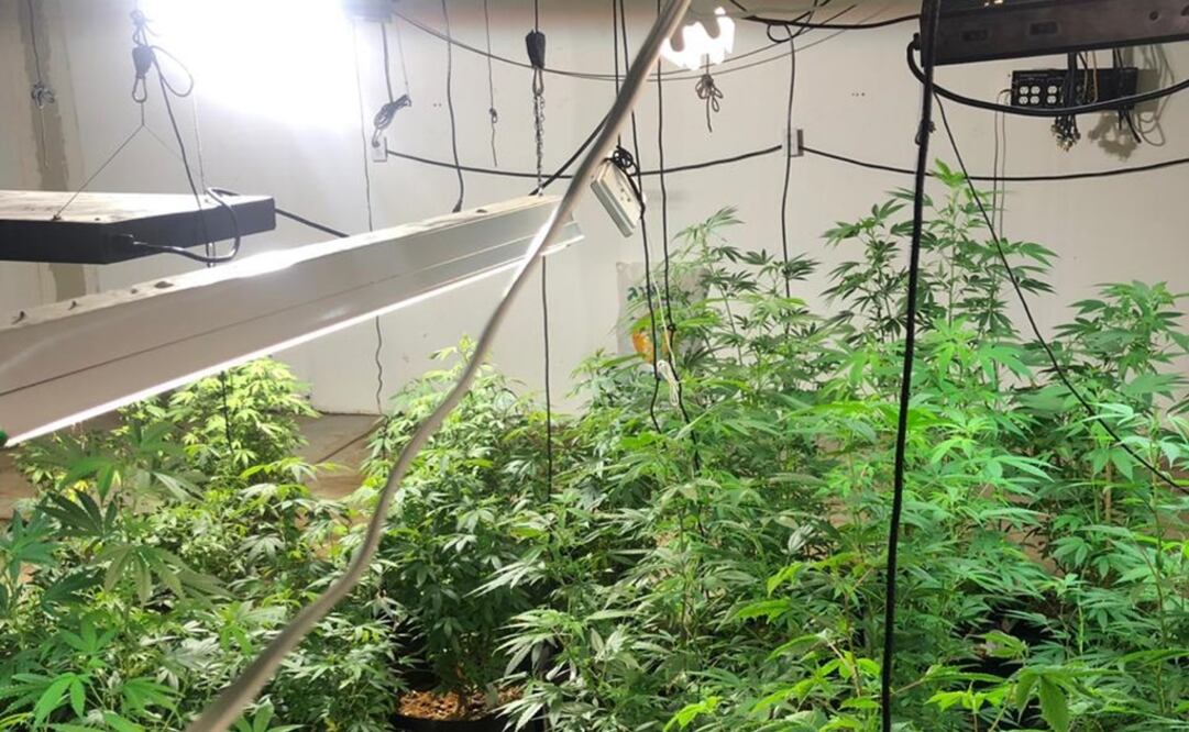 Invernadero en Ecatepec. Foto: Especial 