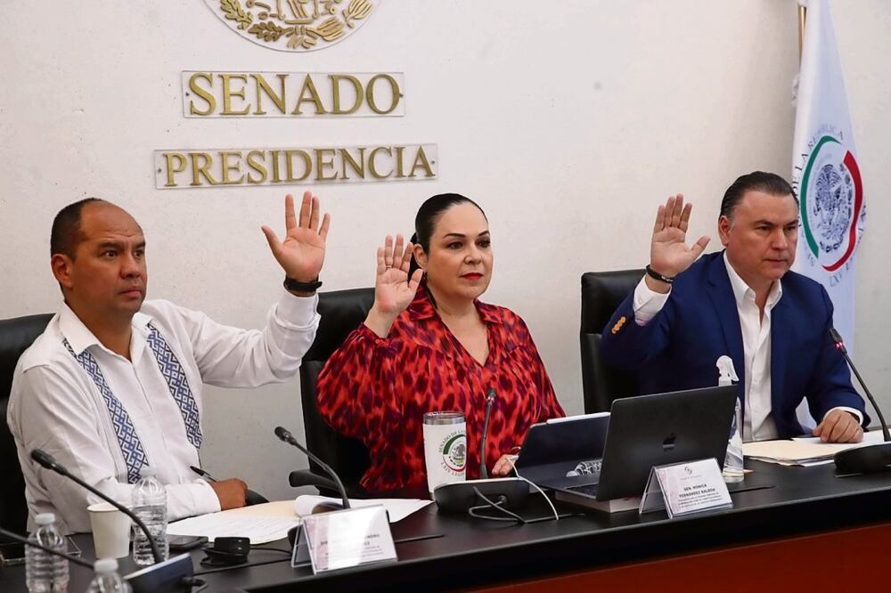 El Inai puede esperar los nombramientos y una reforma profunda, aseguró el diputado morenista Alejandro Robles durante la sesión de la Primera Comisión de Gobernación de la Comisión Permanente. Foto: Especial