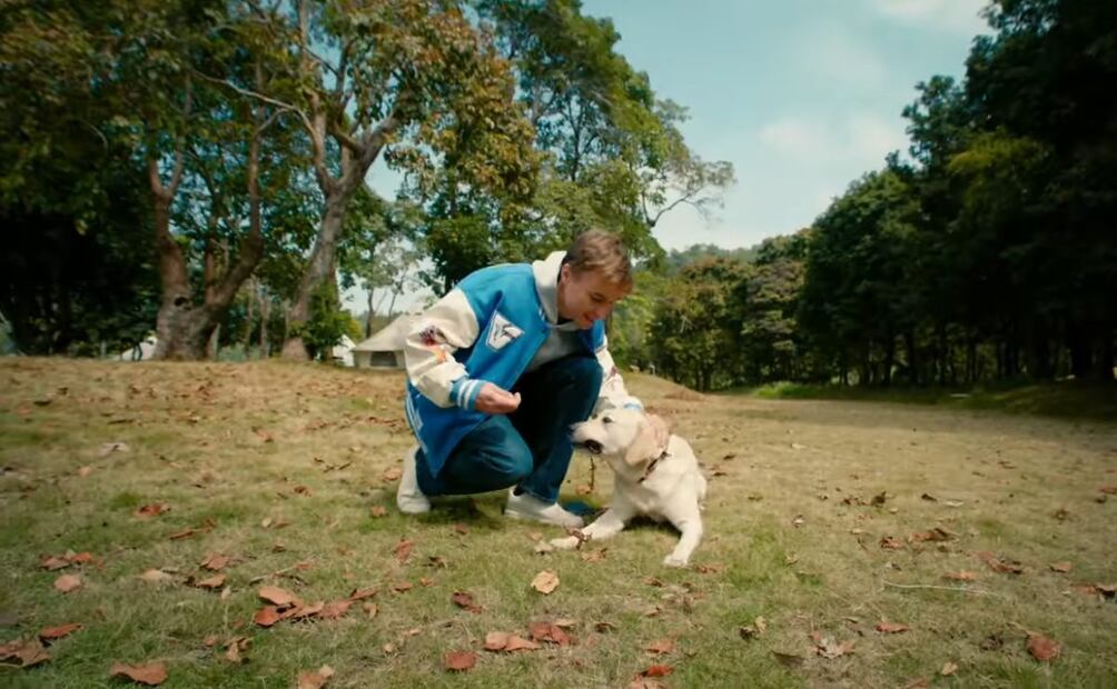 PetPhone. Imagen: captura de pantalla