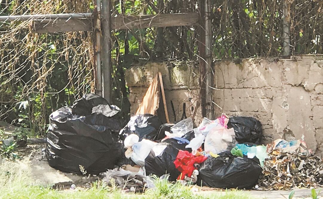 Algunos vecinos optaron por abandonar sus desperdicios en jardines y calles. Foto: REBECA JIMÉNEZ. EL UNIVERSAL