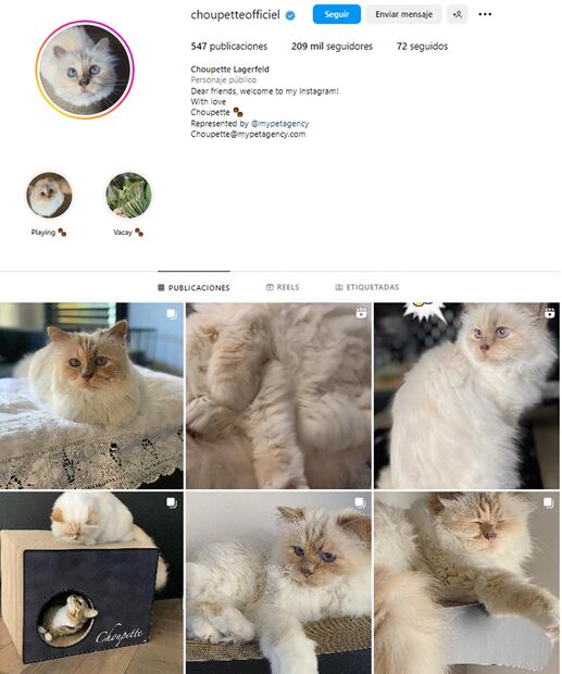 Foto: Instagram. @choupetteofficiel
