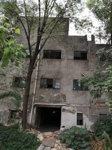 Colonia Roma, tour insólito en una clínica embrujada