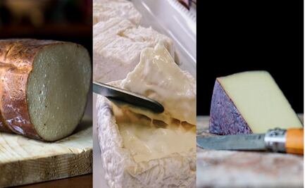 Cuando pruebes estos quesos mexicanos, te vas a enamorar