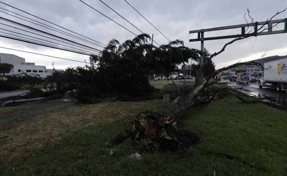 La fuerza del viento afectó varias viviendas, además provocó que en varios puntos, como en Tres Caminos, se levantaran los árboles y generó daños incluso en fachadas de las viviendas y automóviles. Foto: Jorge Alvarado. EL UNIVERSAL