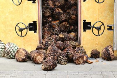 Tequila: la veta del oro líquido