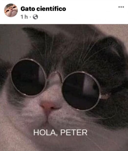 ¡Hola Peter! y los mejores memes por "Spider-Man: No Way Home"