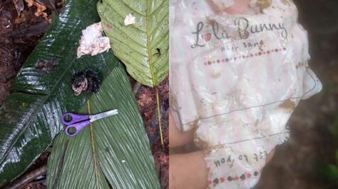 Militares dicen estar "muy cerca" de los niños perdidos en la selva colombiana