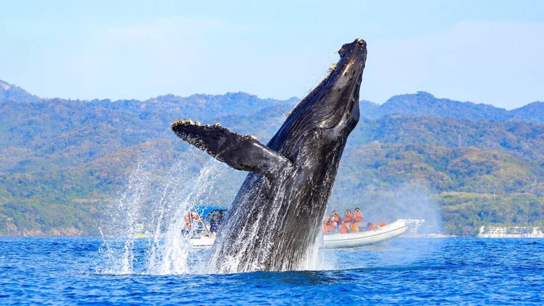 Foto: Vallarta Adventures