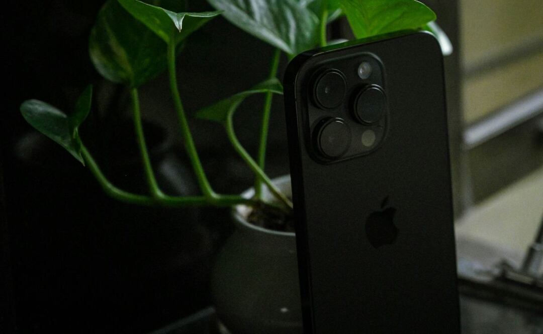 Apple Intelligence puede ayudarte en tus labores de jardinería | Imagen: Chirayu Patel, Unsplash