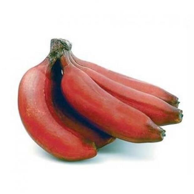 ¿Qué tantas variedades de plátano conoces?