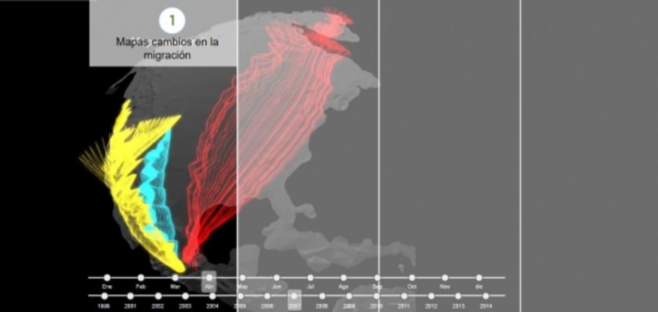 Los cinco equipos seleccionados en Flash ACT “Arte, Ciencia y Tecnología”